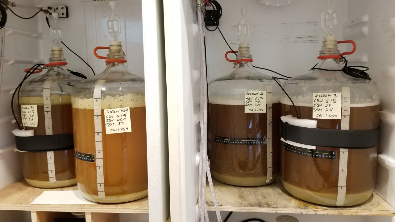 kolsch_26may2019.jpg