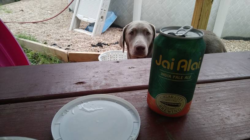 20190703_201501.jpeg