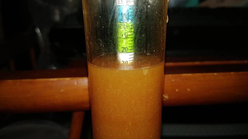 20190705_121056.jpeg