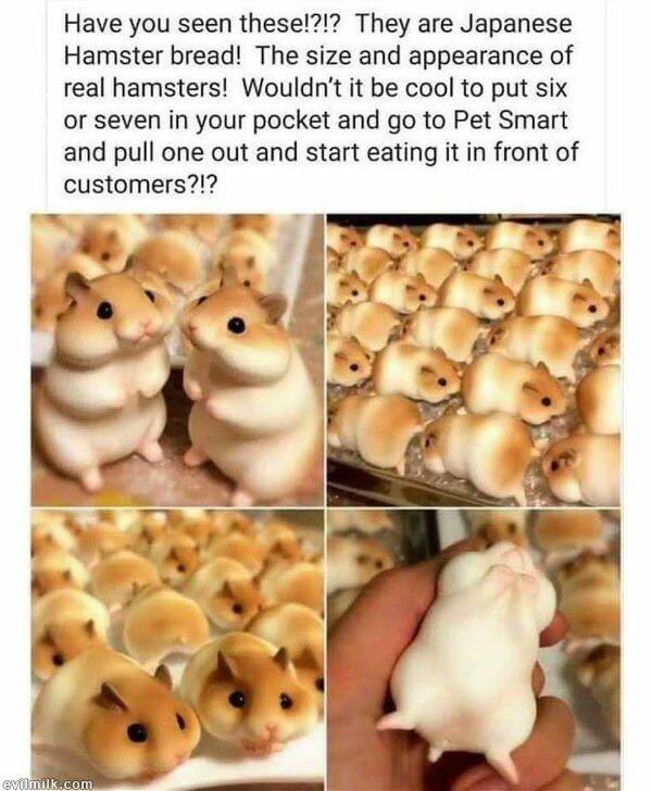 hamsterbread1.jpg