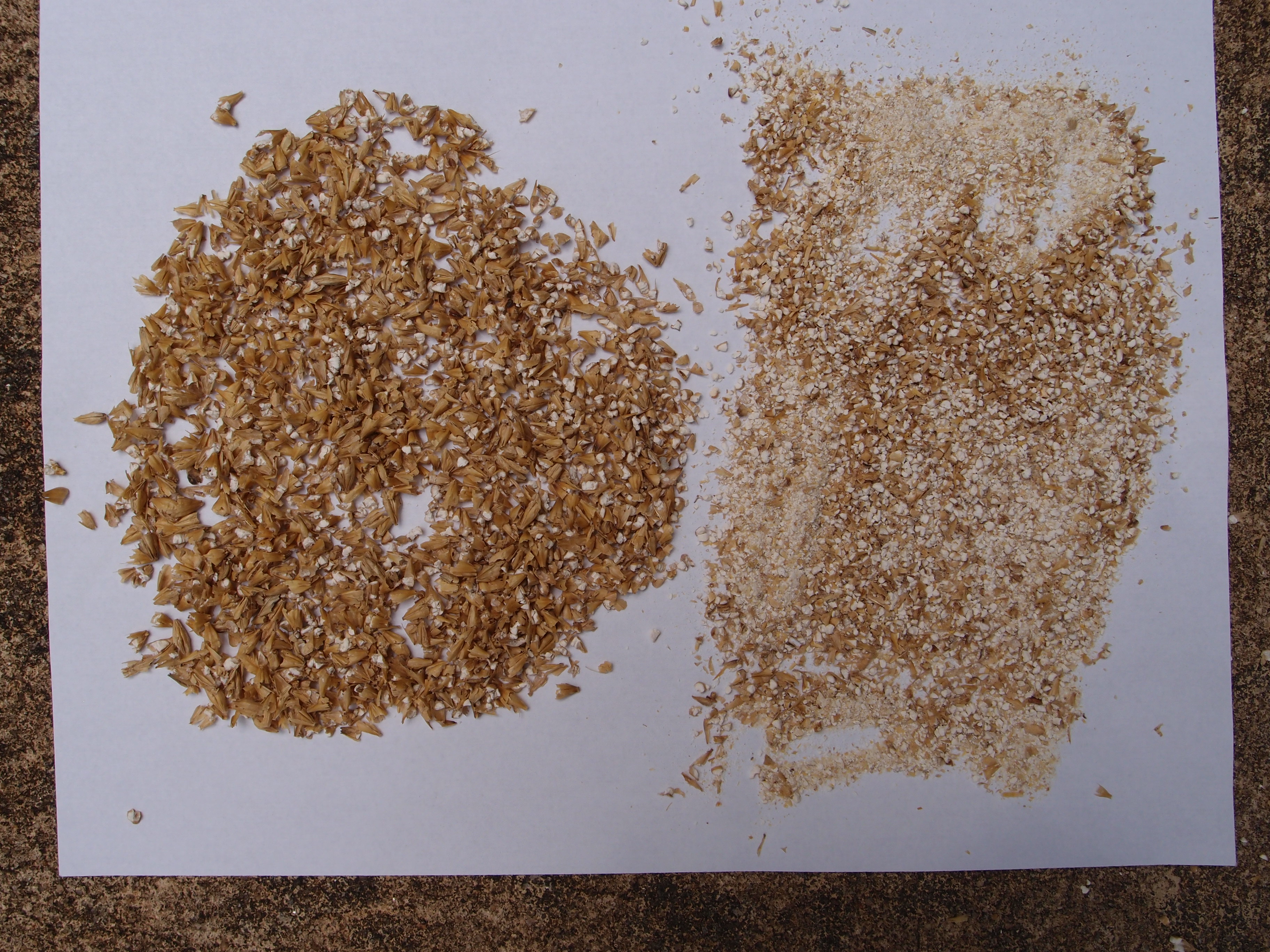 Sifted Grain.JPG