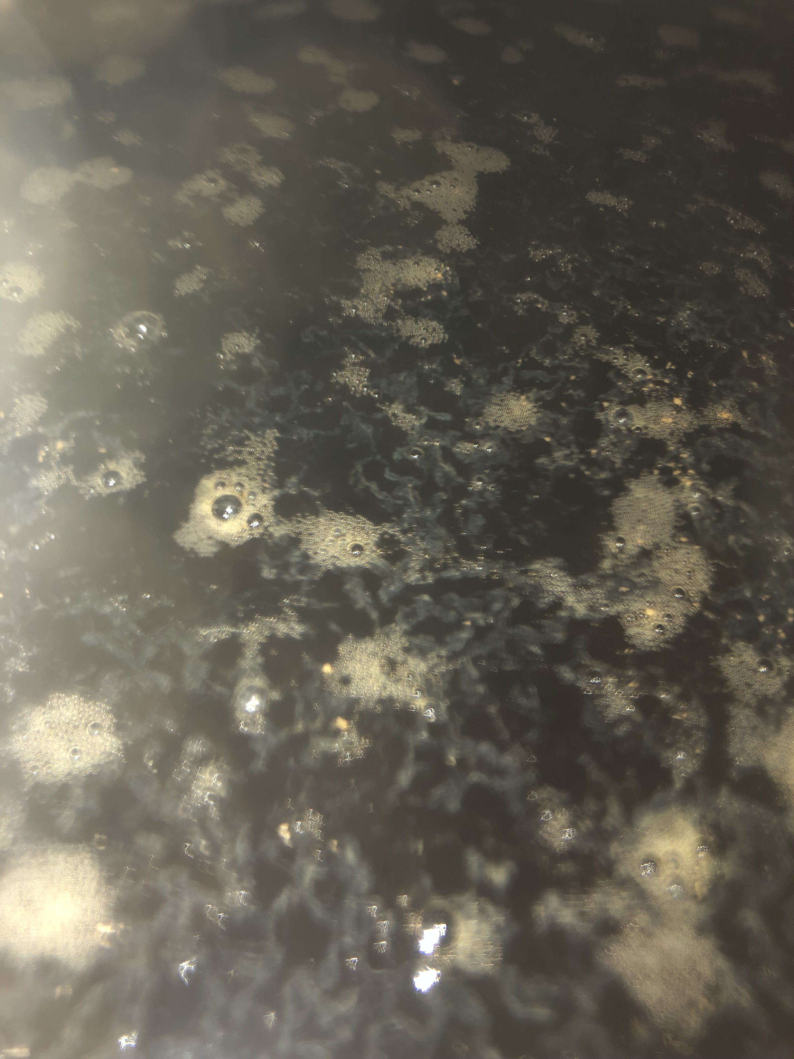 D1EE4748-3904-4408-A0C0-92058D009F6B.jpeg