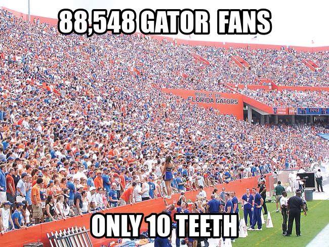 80kgatorfans.jpg