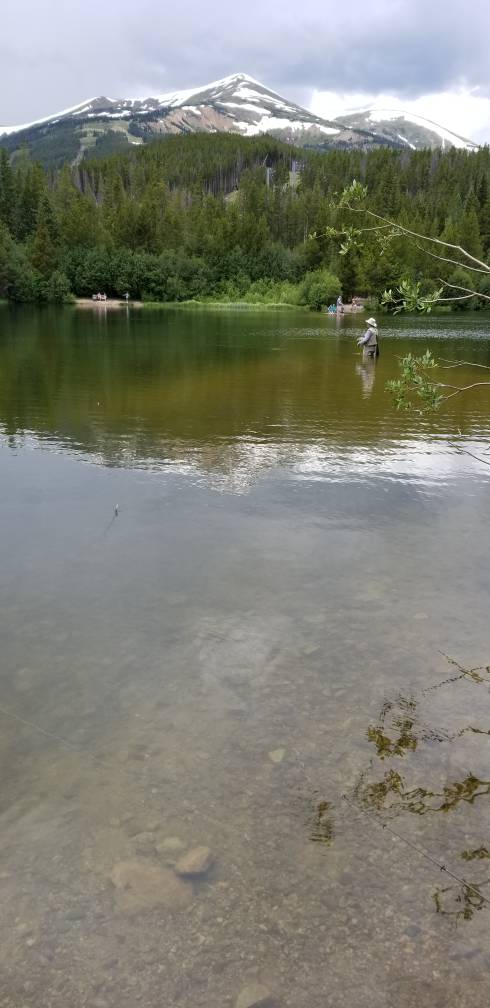 20190722_122950.jpeg