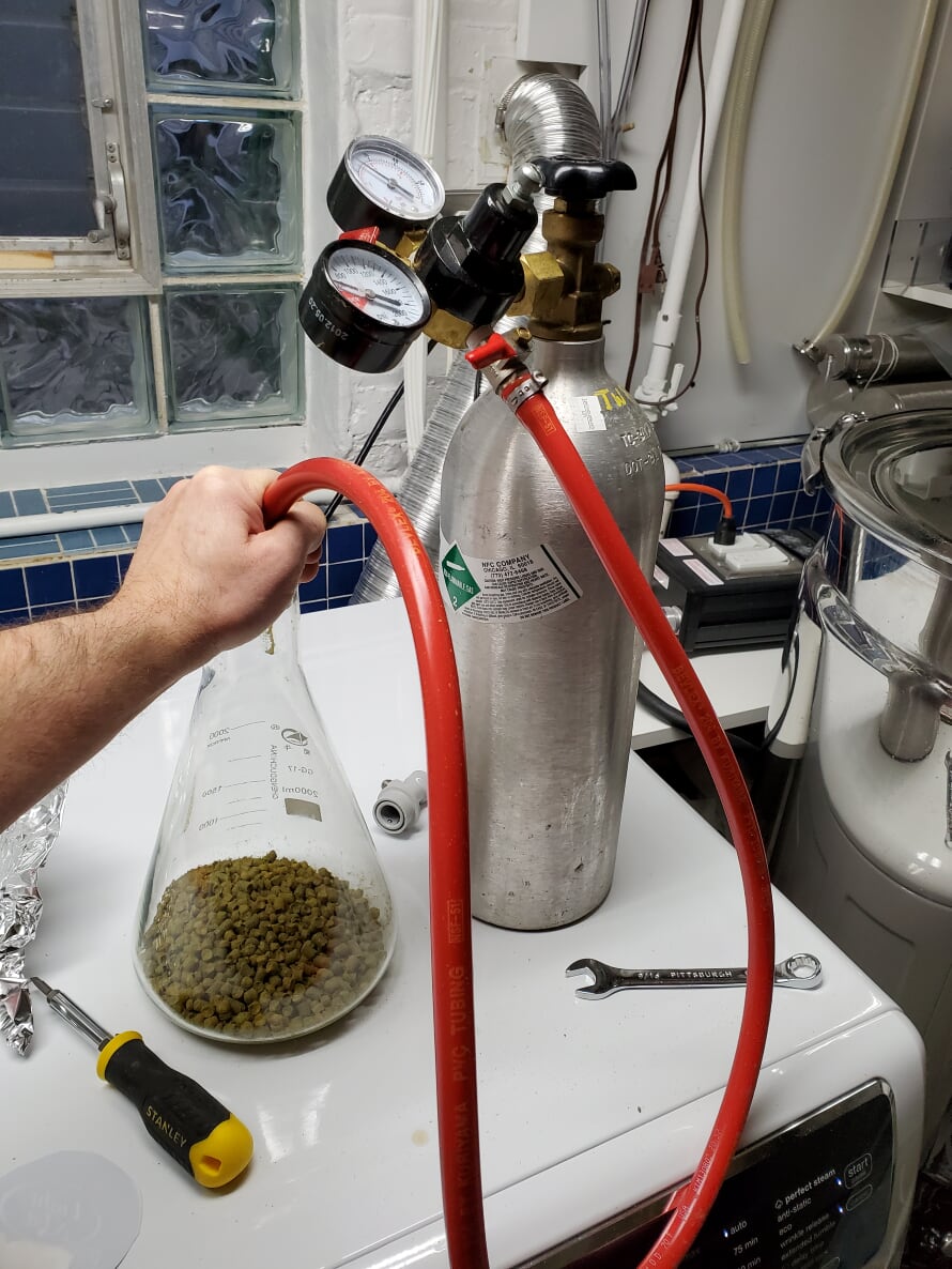 Purging hops.jpg Purging hops.jpg