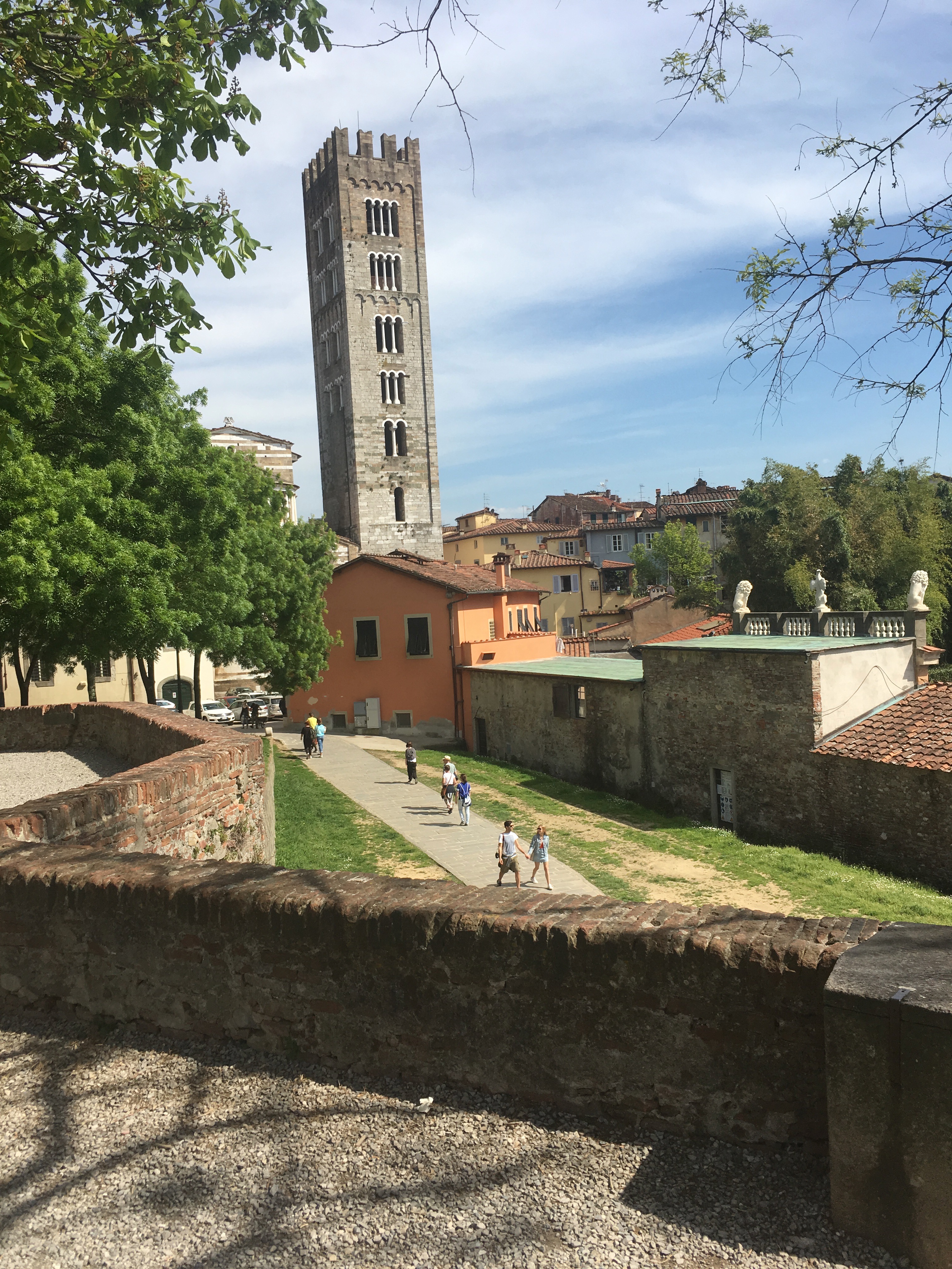IMG_1763.jpeg