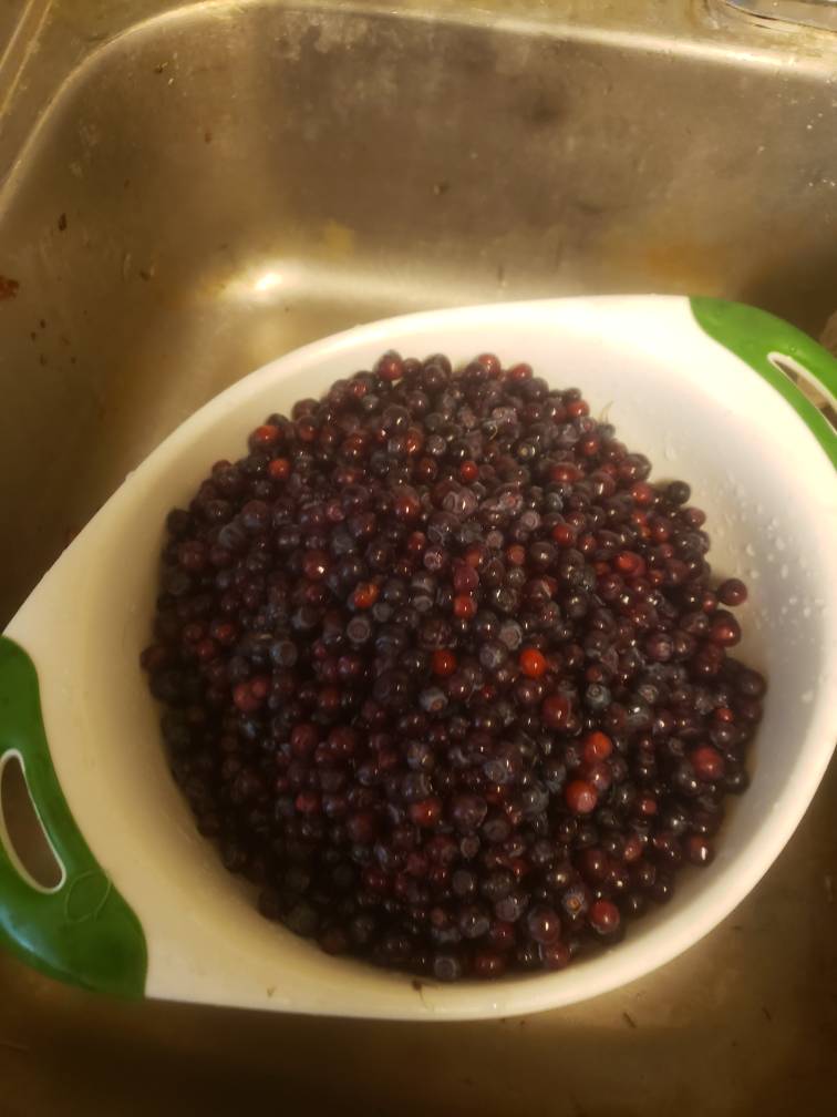 20190804_152233.jpeg