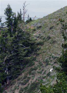 120723-usn-goat-man-kb-1037a.380;380;7;70.jpg