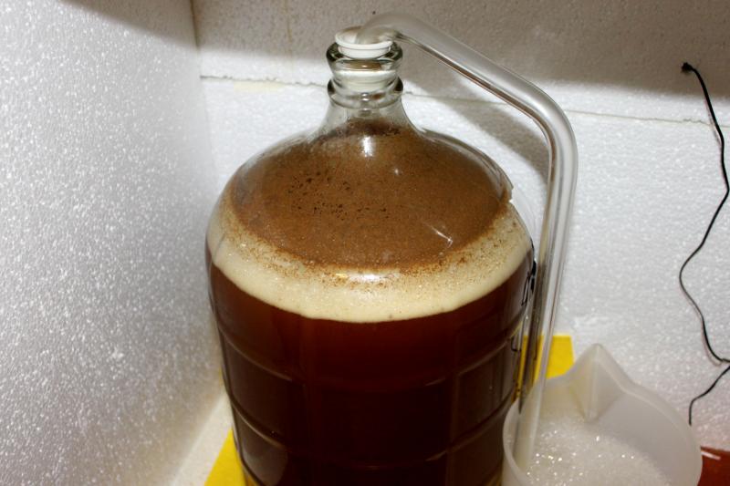 06-fermentation.jpg