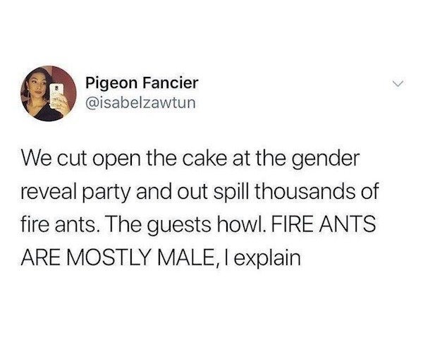 fark_oahxSpn9R4l5yFKWXMScftiK2H0.jpg