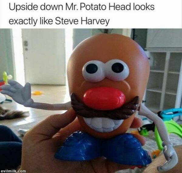 potatohead.jpg