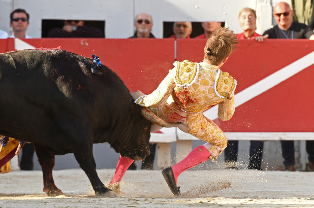bullwins58.jpg