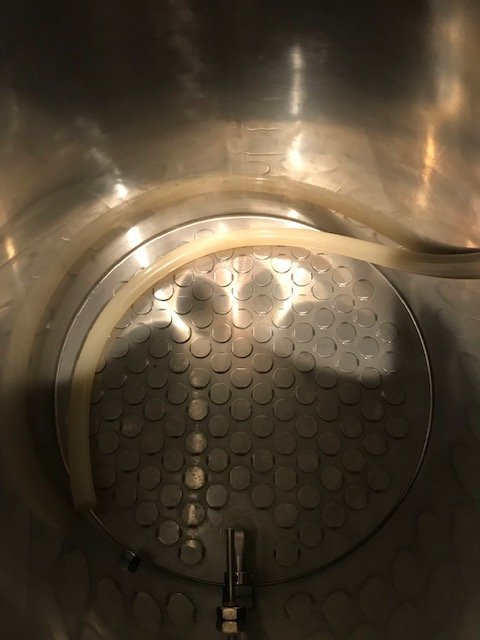 Mash Tun in.jpg