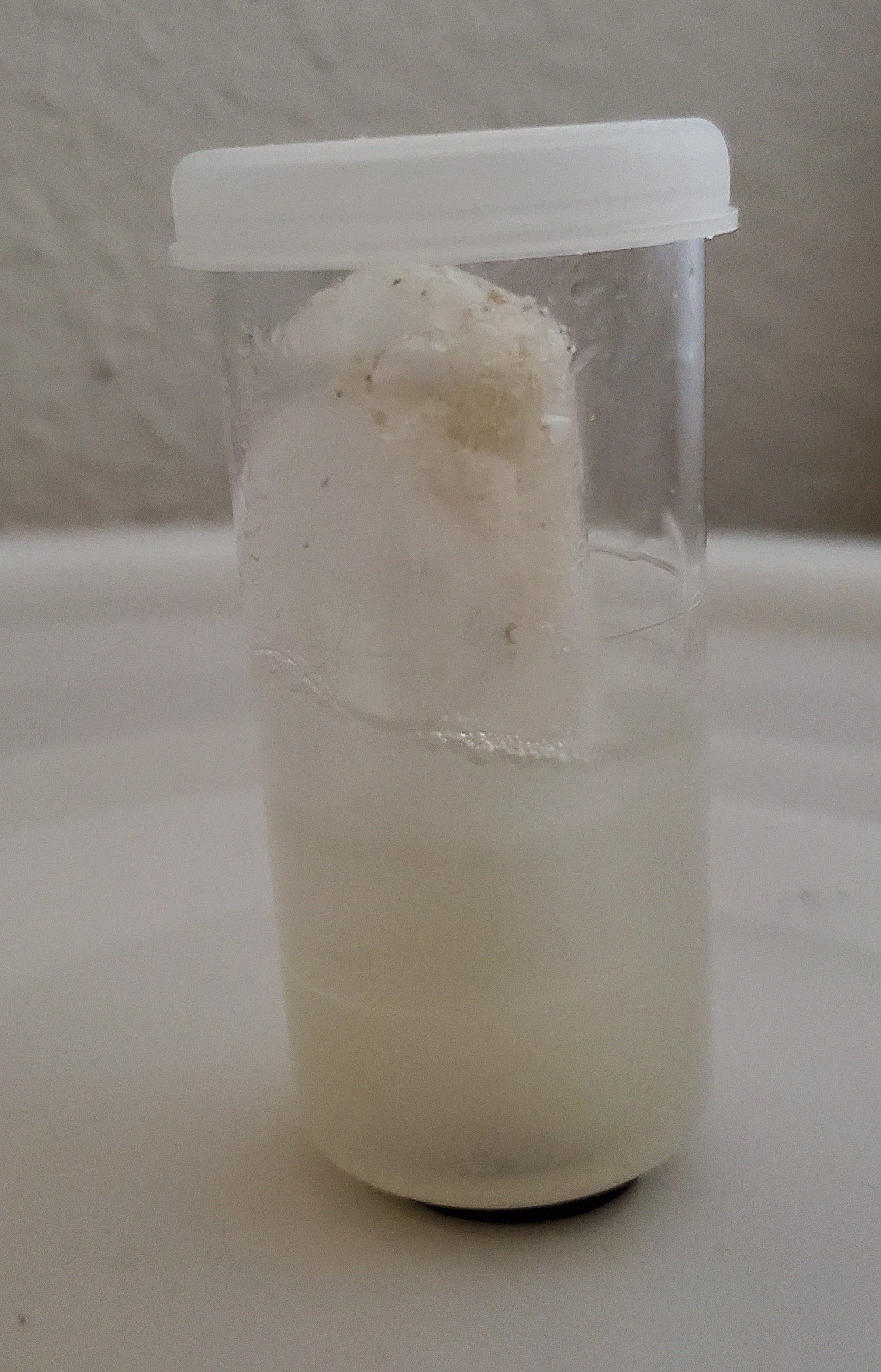 20191016_072527.jpg