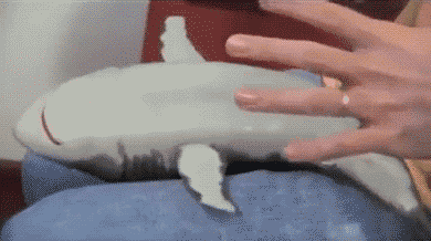 fark_sDZudc9Gp7HUzjsF6nLz9Bwe7_E.gif