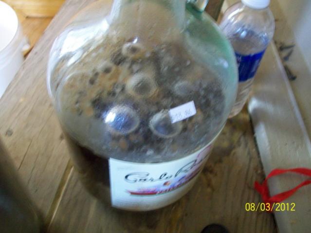 mold 003.jpg