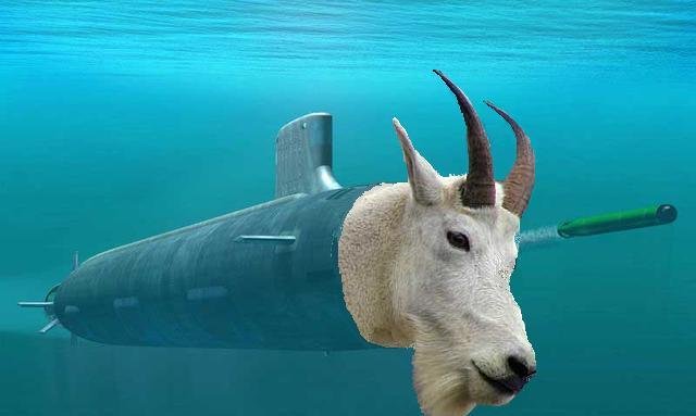 Seagoat.jpeg