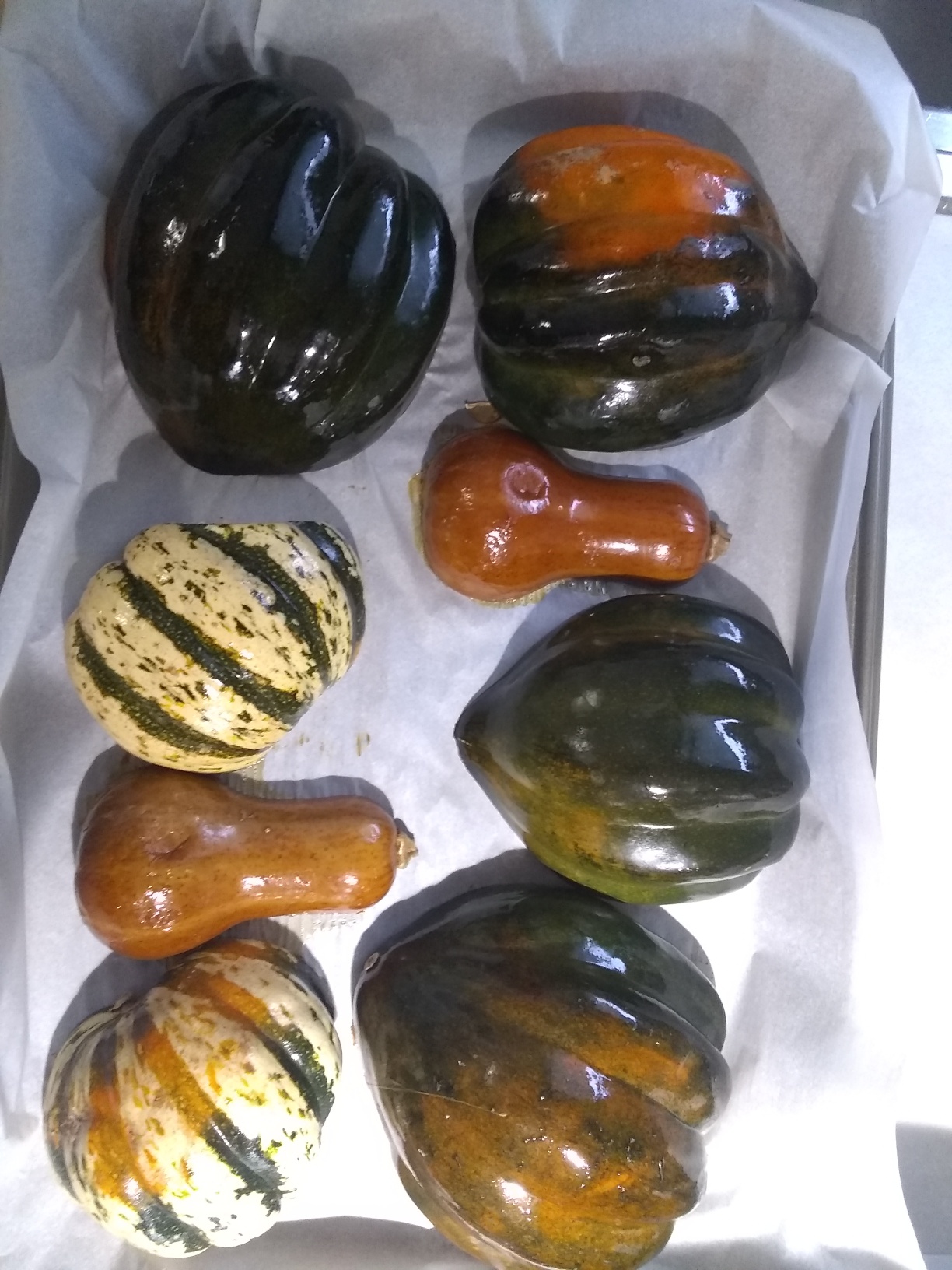 various squash.jpg