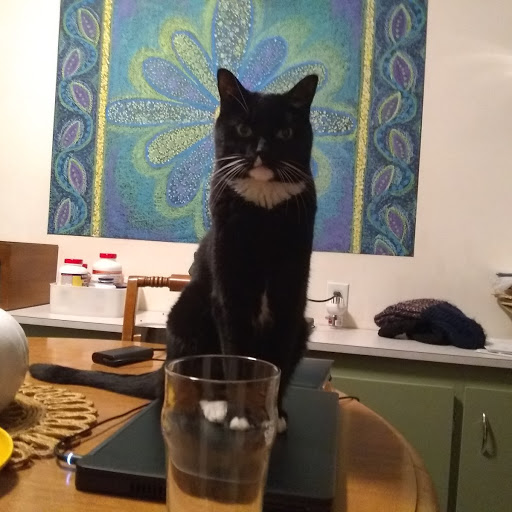 Dashy Beer.jpg