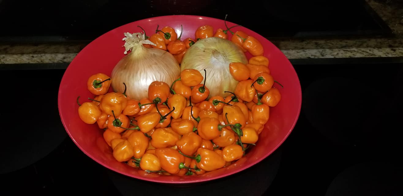 Habanero 01.jpg Habanero 01.jpg