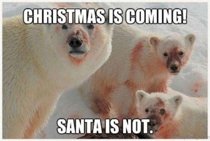 christmas_memes_1514186609_725x725.jpeg