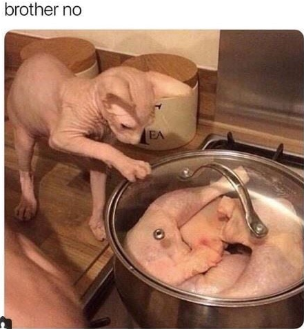 upload_2019-11-30_13-56-23.png