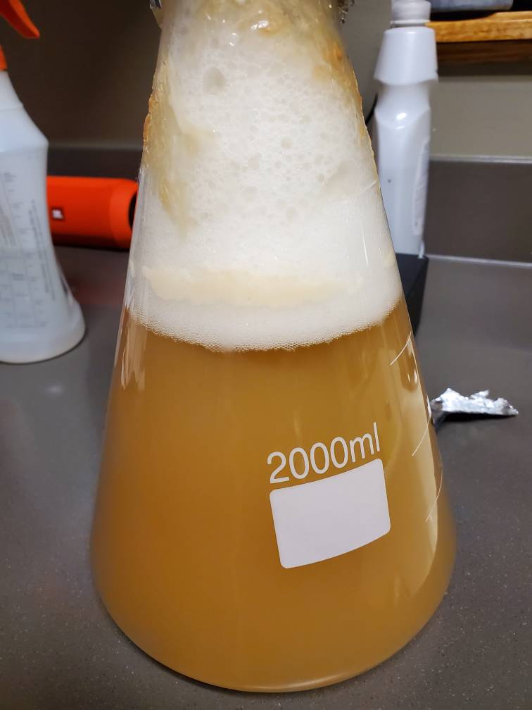 20191205_043030.jpeg 20191205_043030.jpeg