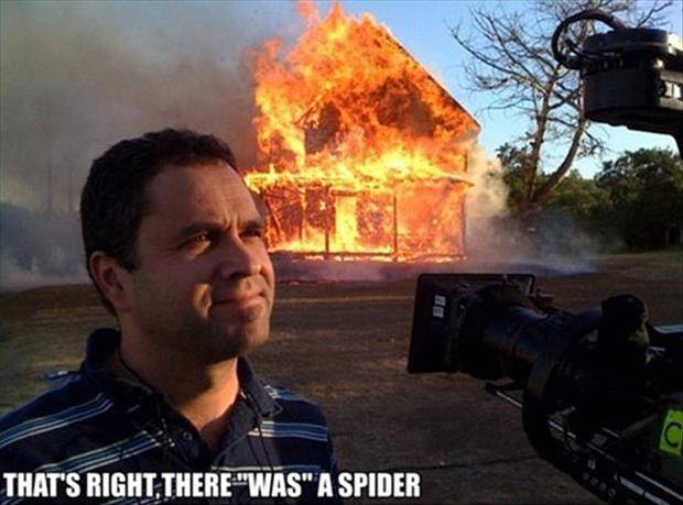 burn-house-down-to-kill-a-spider.jpeg