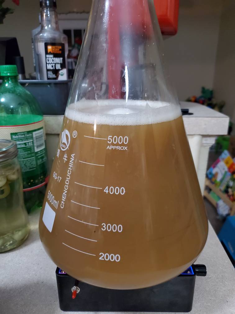 20191227_233528.jpeg