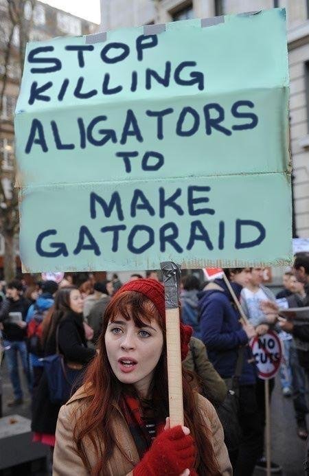 5b20025249aad.jpeg