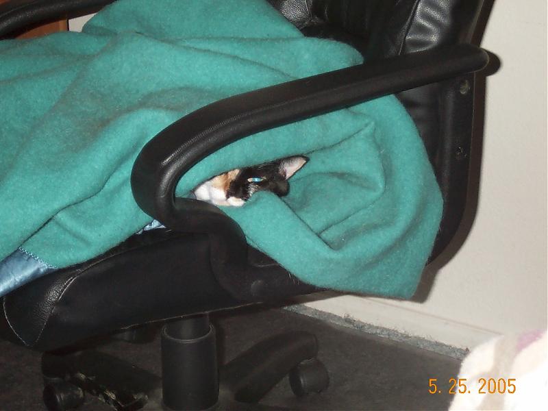 DCP_0607.jpg