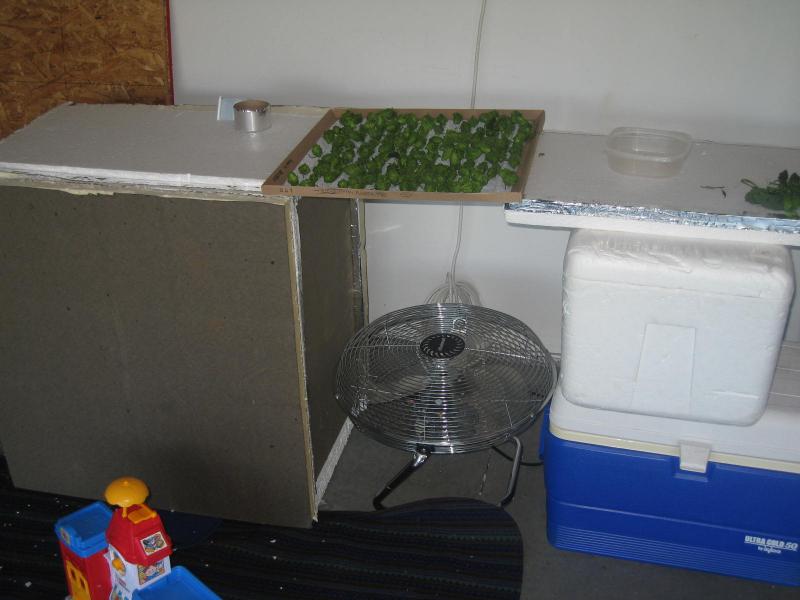 IMG_9331.jpg IMG_9331.jpg