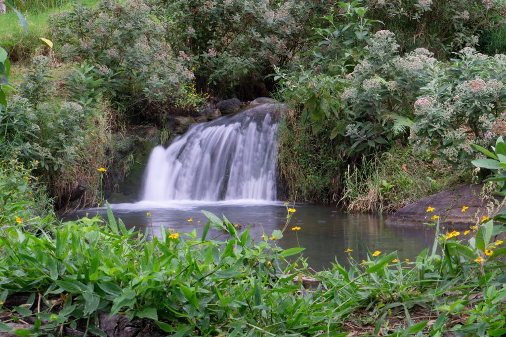 DSC05277.jpg
