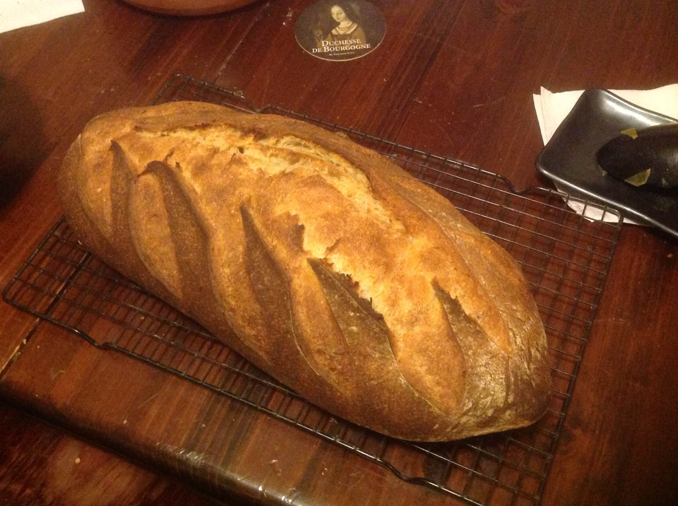 levain 11-13-15.JPG