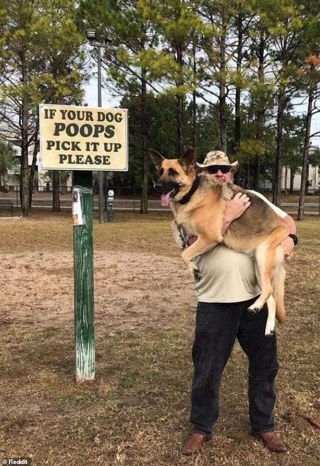 dogpoop.jpg