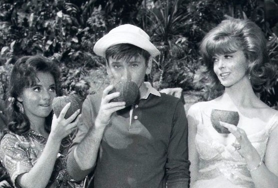 gilligans-island-cast-ginger-mary-ann-gilligan-Cropped.jpg