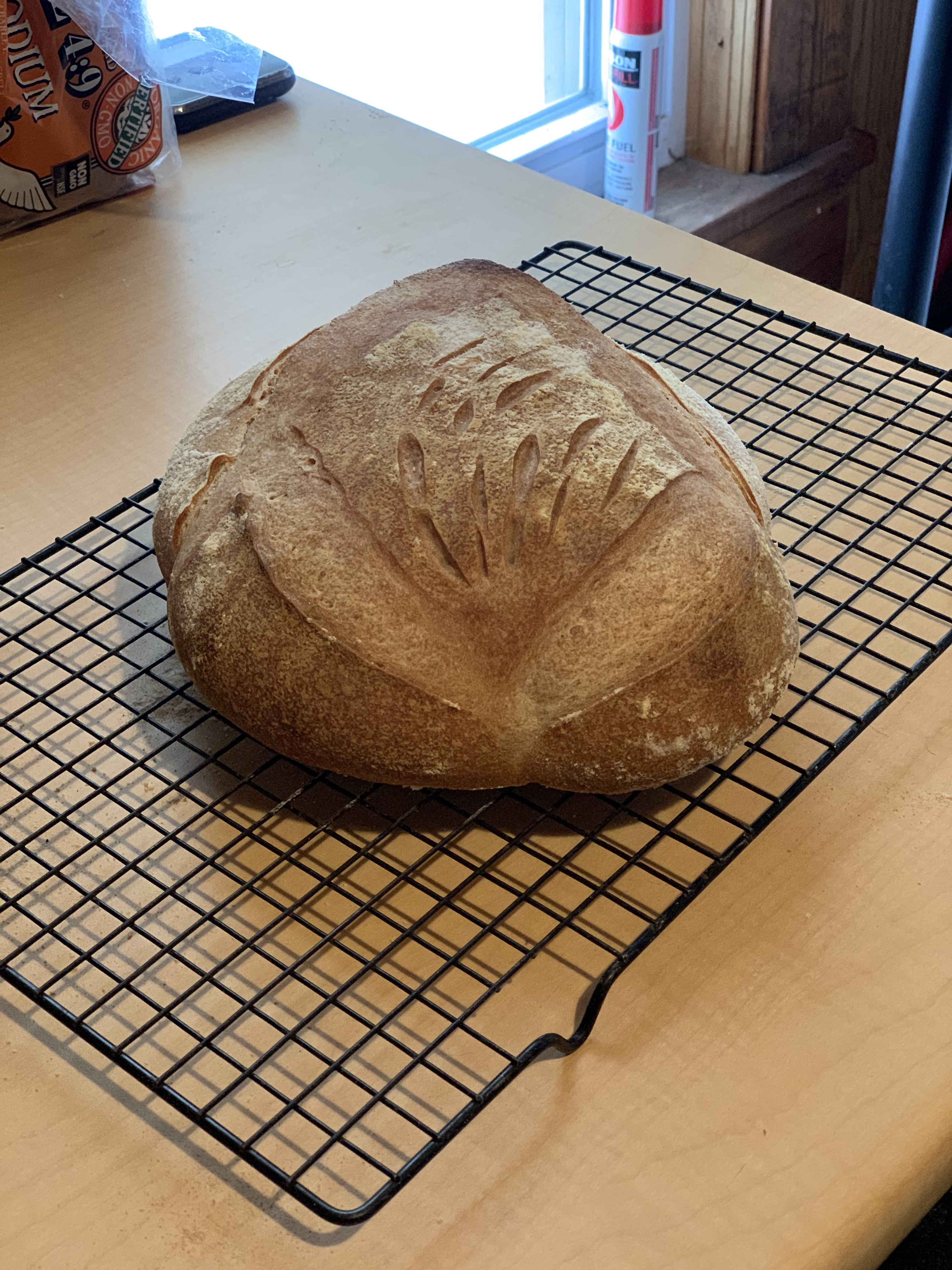 boule 1 1-13-20.jpg