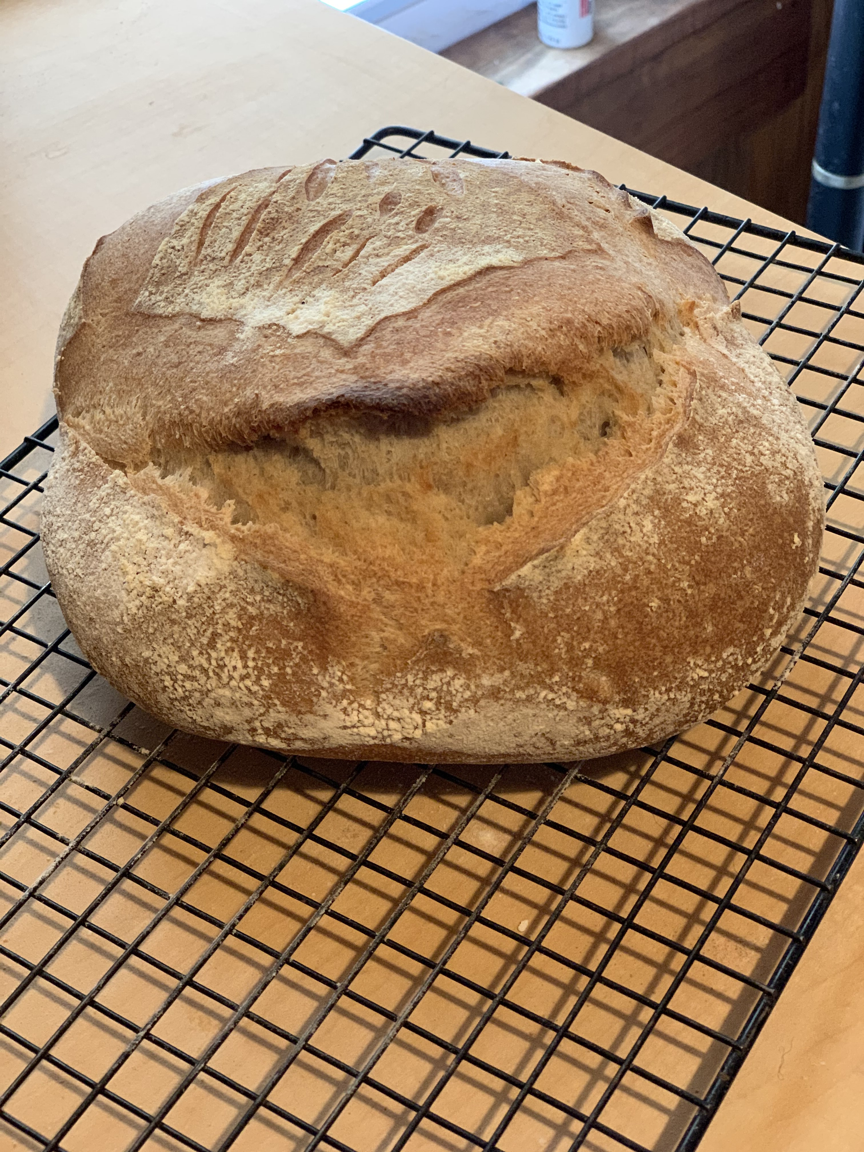 boule grigne 1-13-20.jpg