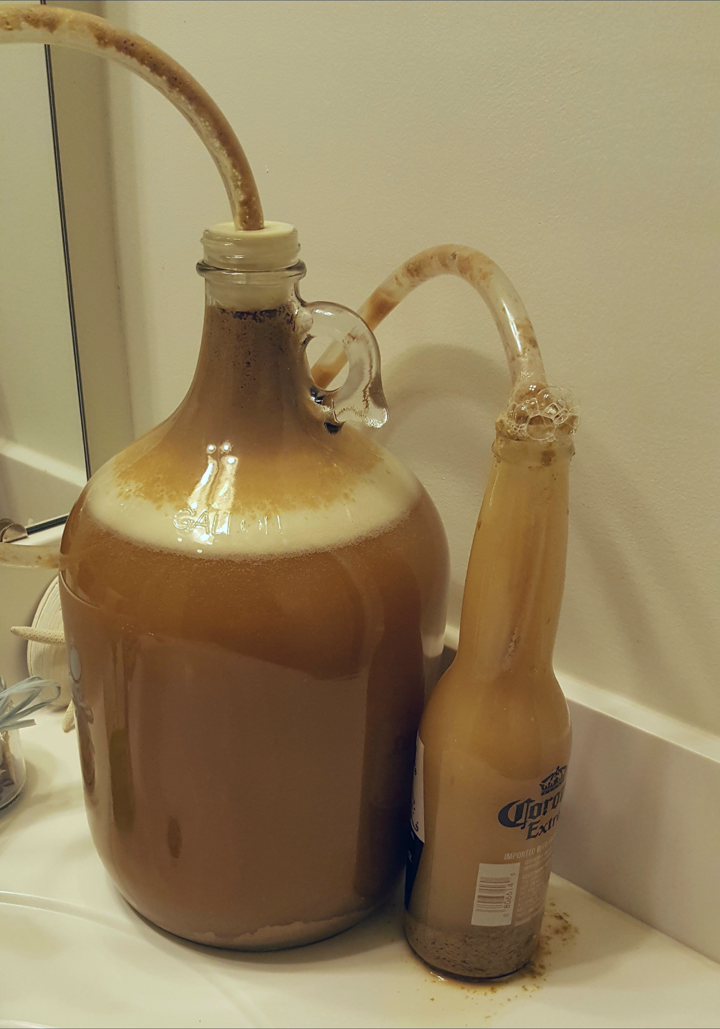 20190422_105513.jpg