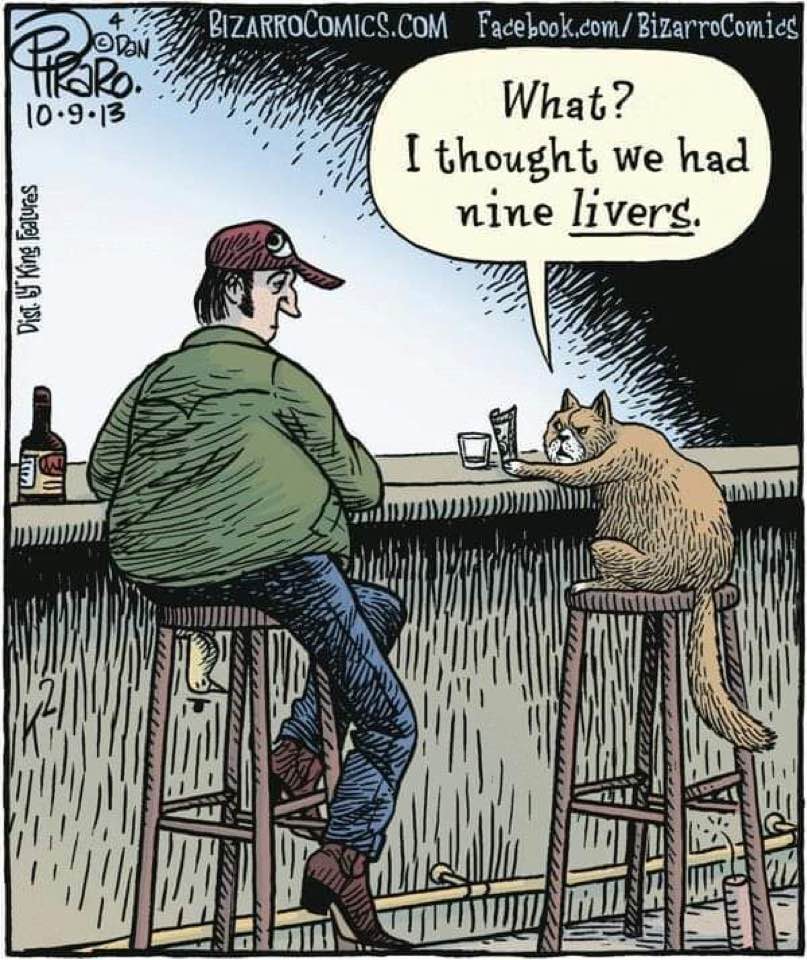 9-livers.jpg