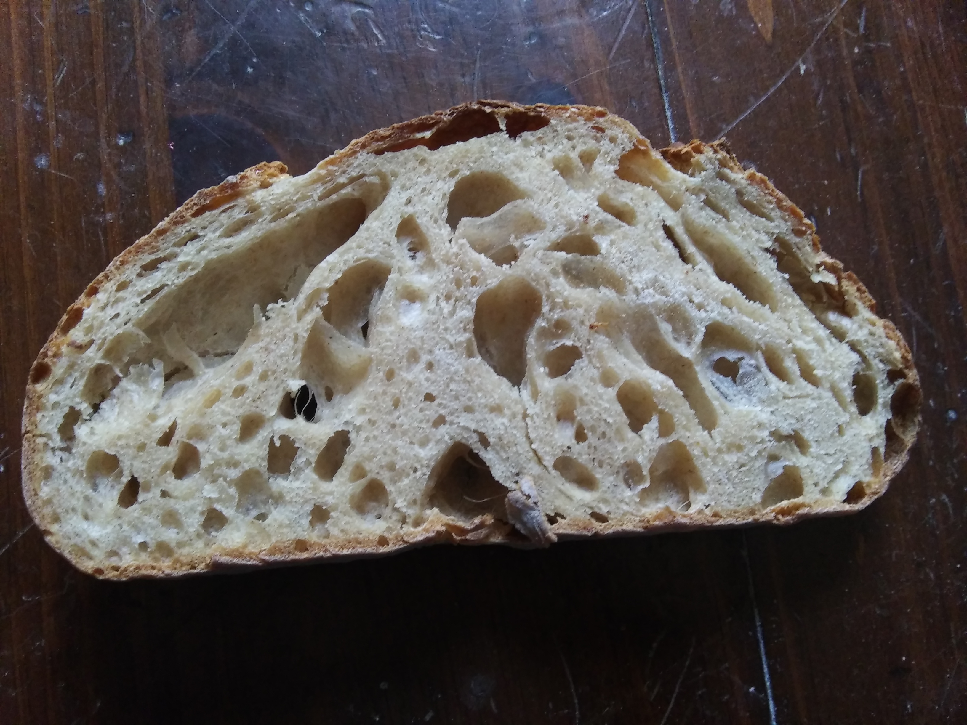 levain crumb.jpg levain crumb.jpg