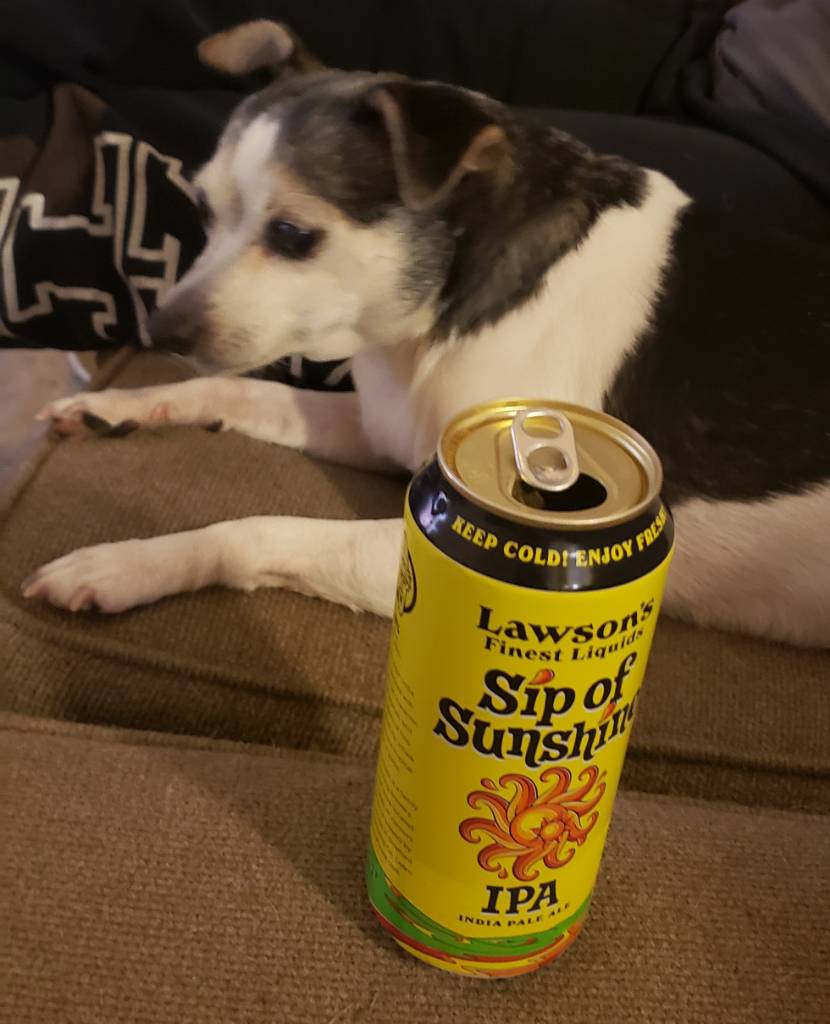 20200214_212200.jpeg
