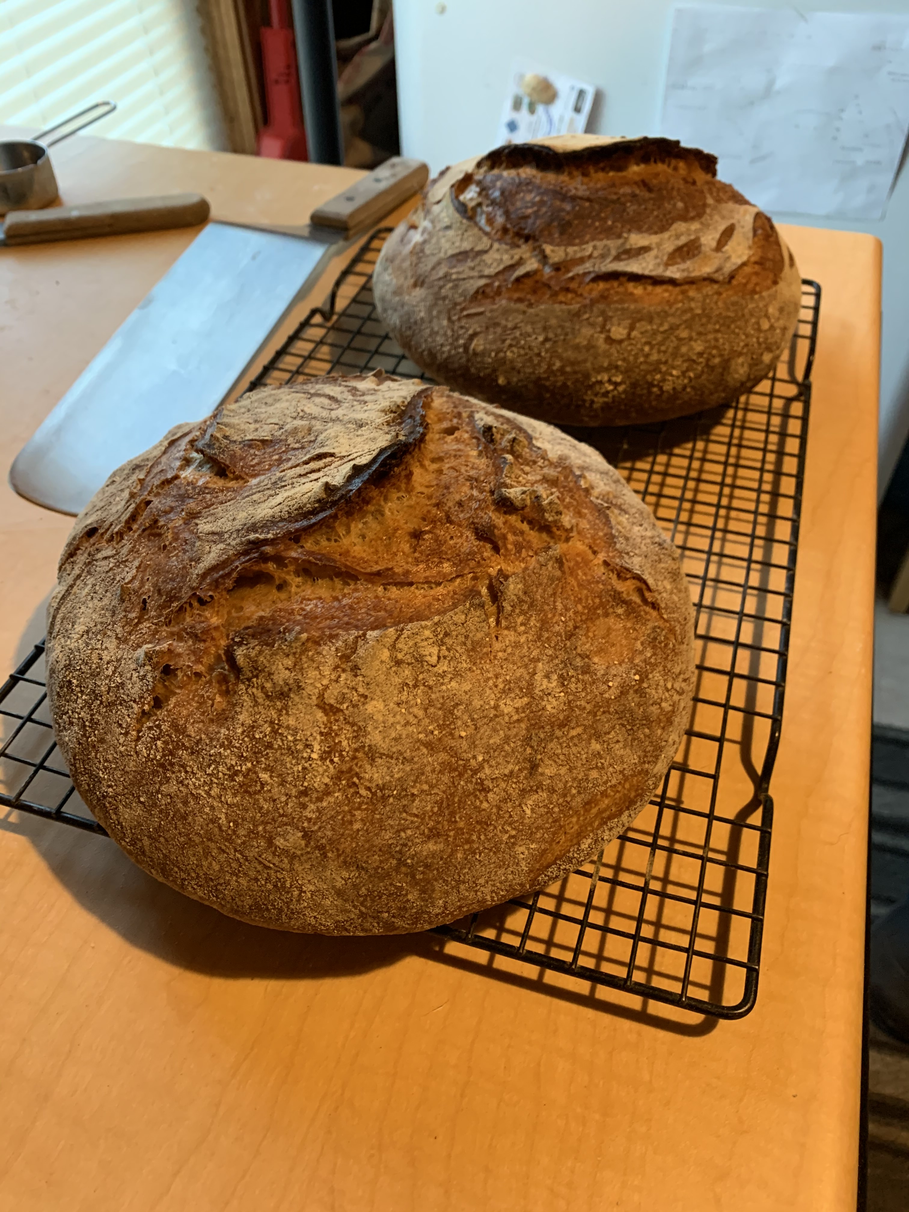 twin loaves.jpg