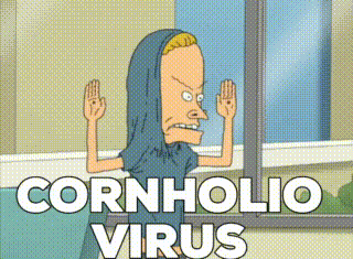 e005b3c3-d3fb-412e-af13-080dff37e7ad.gif e005b3c3-d3fb-412e-af13-080dff37e7ad.gif