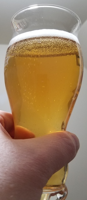 Endless Summer Olde Style Pils.jpg