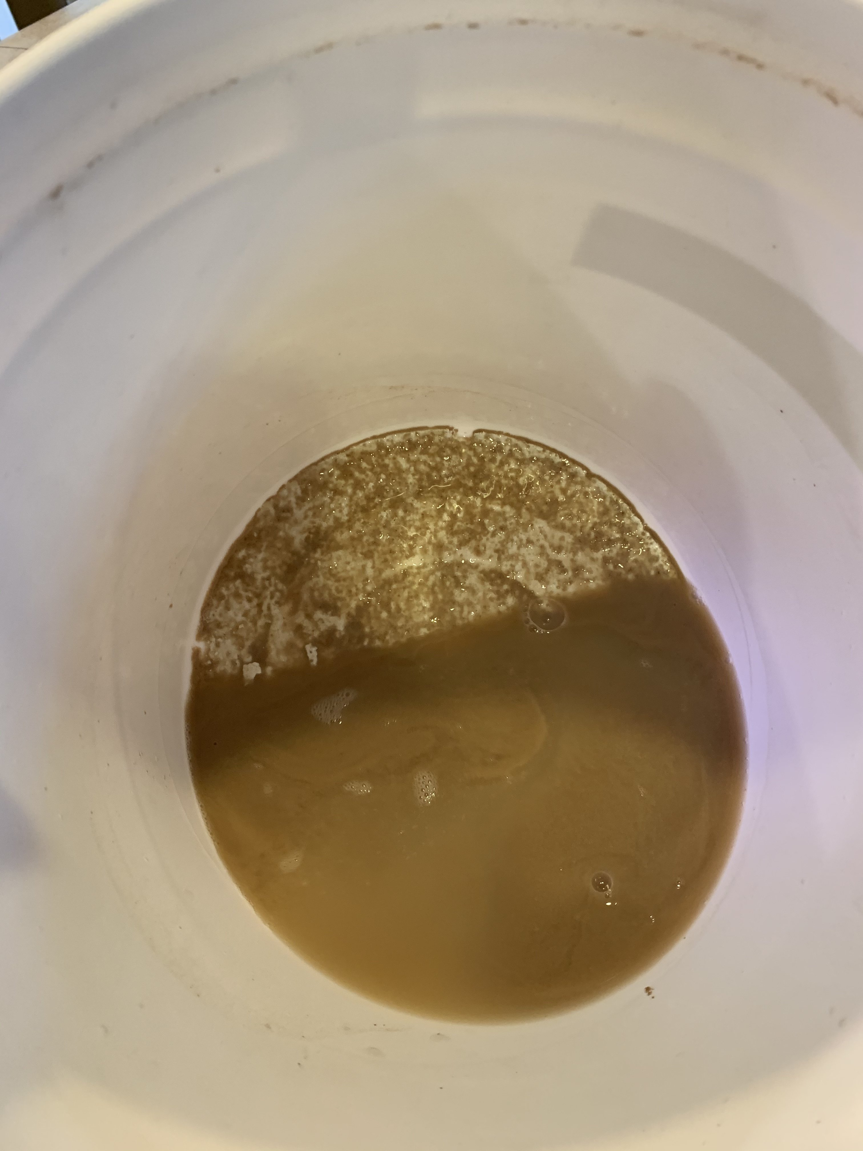 6D3E9C11-D439-424C-A9A8-3529B8E5B163.jpeg