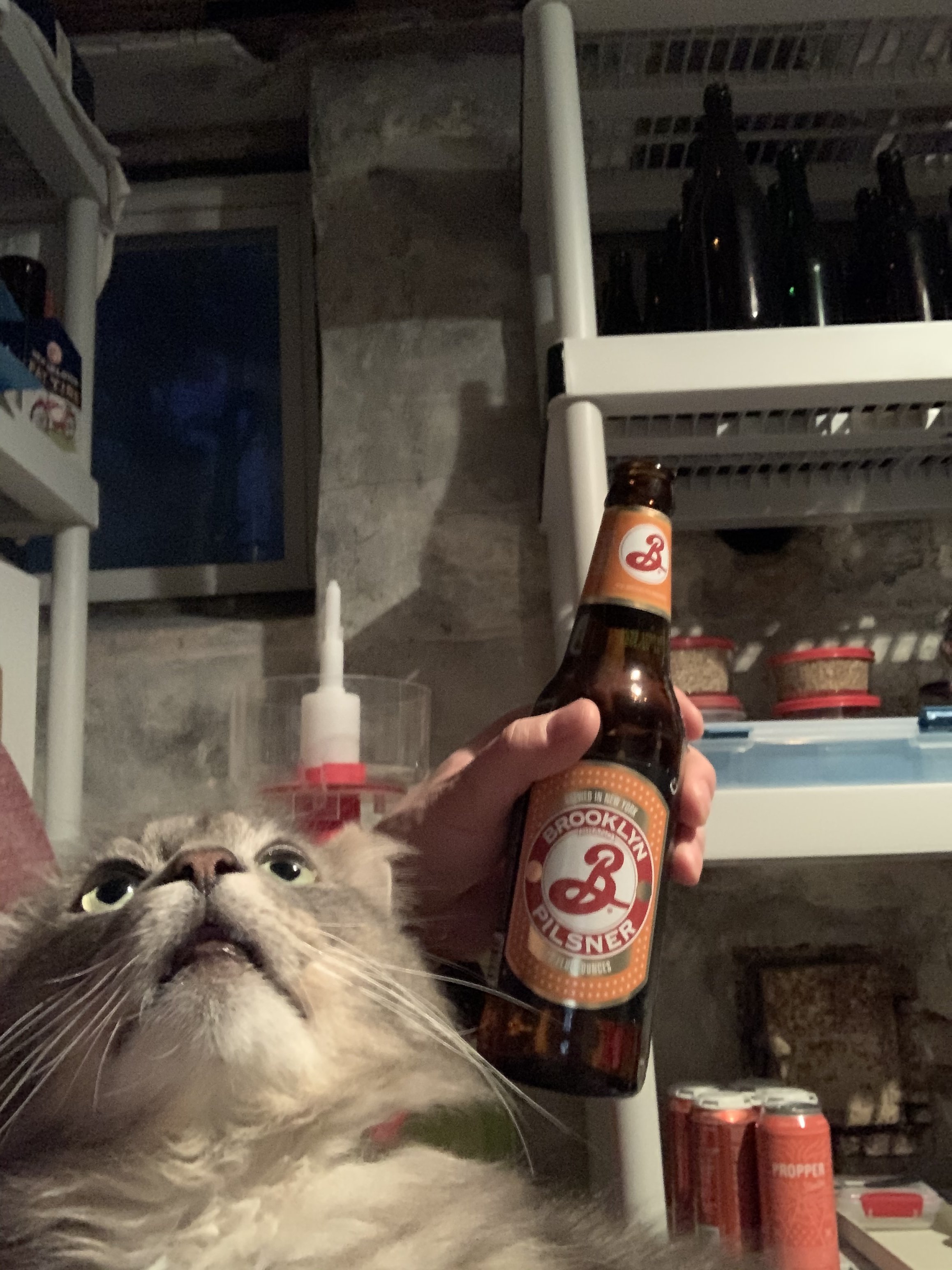 C5A98DF0-56A7-4614-80F0-D1E6CA635973.jpeg