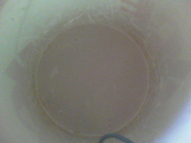 100_0631.JPG
