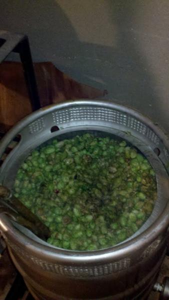 hops2.jpg