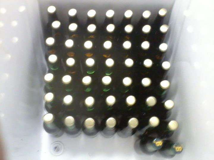 1st batch.jpg